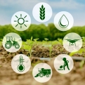 Ինչպես զարգացնել գյուղատնտեսությունը