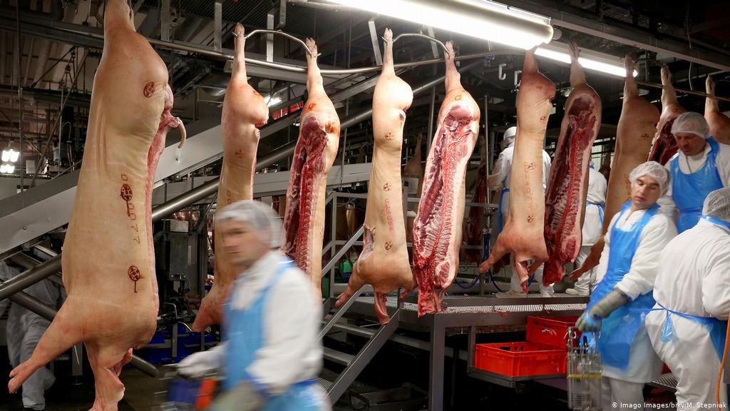 Նկերը համացանցից