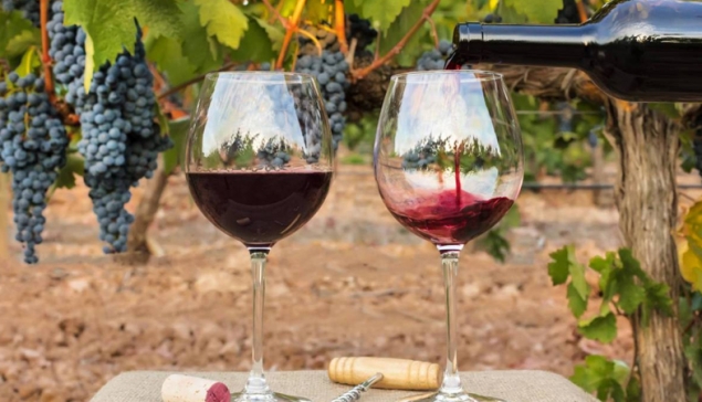 Խաղողագործական հողերի նկատմամբ հետաքրքրությունն աճել է, հայկական գինին բրենդային է դառնում