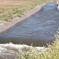 Ով է փոխհատուցելու գյուղացուն հասցրած վնասը. ոռոգման ջուրը՝ «սև աղվես»