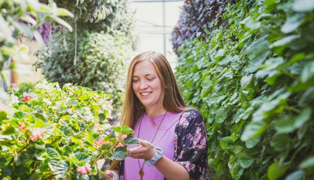 Ջերմոցային տնտեսությունների մակերեսն ավելացել է 30 տոկոսով