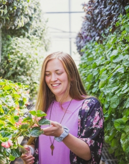 Ջերմոցային տնտեսությունների մակերեսն ավելացել է 30 տոկոսով