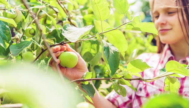 Օրգանական երկրագործության զարգացման համառոտ պատմությունը