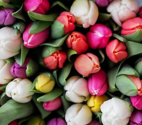 Ինչու է Ռուսաստան հայկական ծաղկի արտահանումը դժվարացել