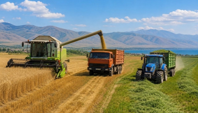 Գեղարքունիքում եռում է բերքահավաքը  