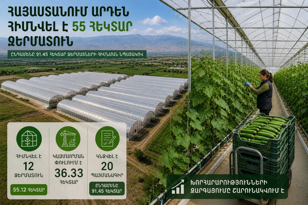 Հայաստանում արդեն հիմնվել է 55 հեկտար ջերմատուն