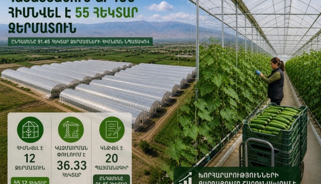 Հայաստանում արդեն հիմնվել է 55 հեկտար ջերմատուն