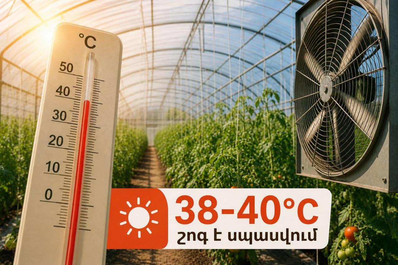 Մինչև 40°C շոգ է սպասվում