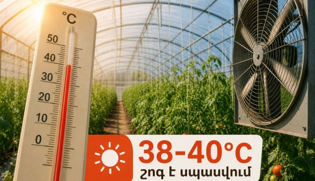 Մինչև 40°C շոգ է սպասվում