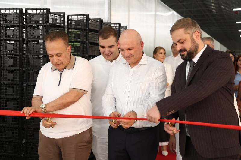 Նոր Եդեսիայում մեկնարկել է բարձր տեխնոլոգիական ջերմոցային համալիրի գործունեությունը