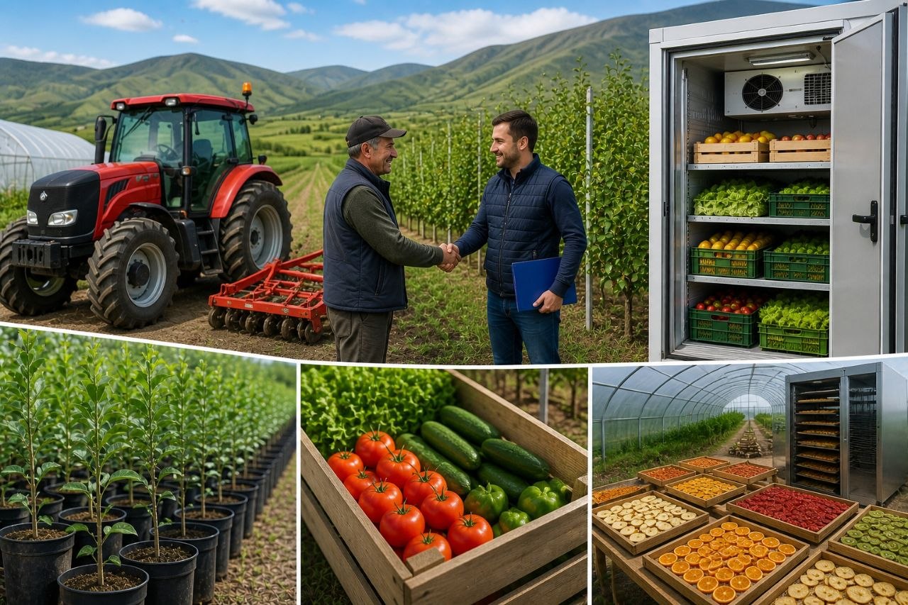 Գյուղտեխնիկա, տնկիներ և սառնարան՝ 235 ընտանիք ստացել է աջակցություն