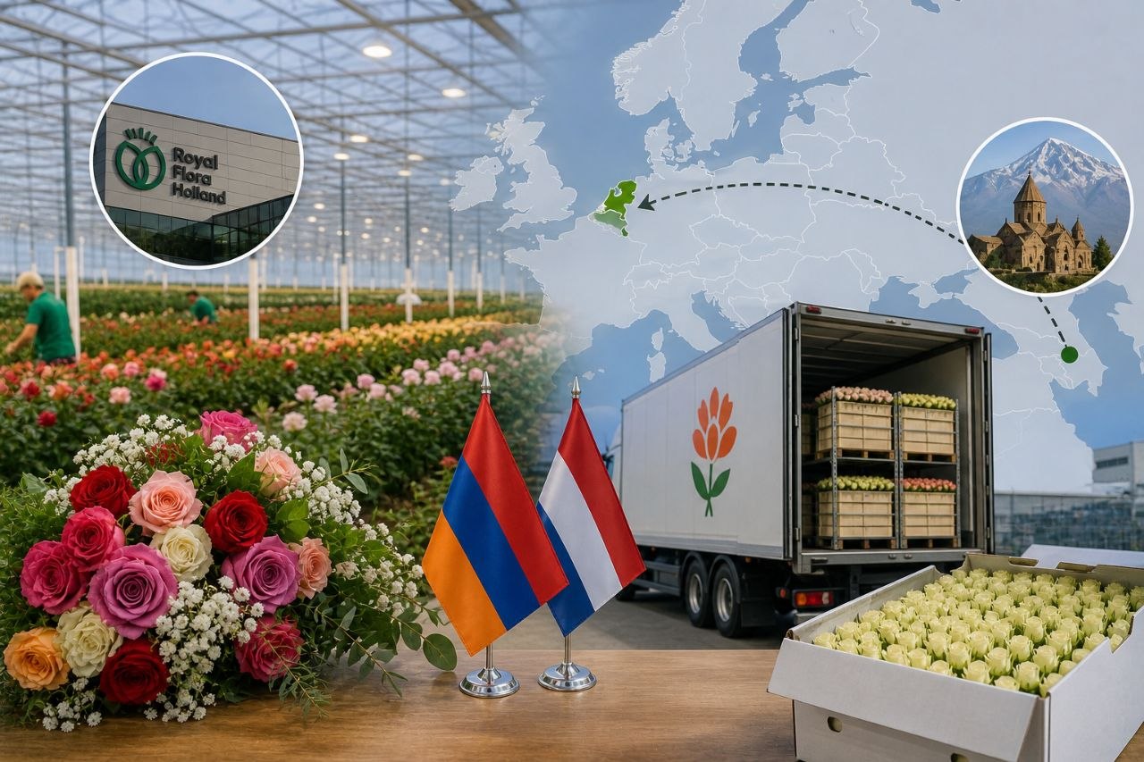 Հայկական ծաղիկը՝ դեպի Եվրոպա