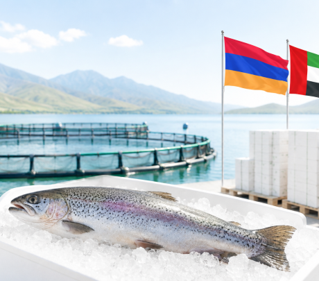Հայկական ձուկը նոր շուկա ունի․