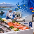 Հայկական ձկնամթերքի համար բացվում է դեպի ԵՄ շուկայի ճանապարհը